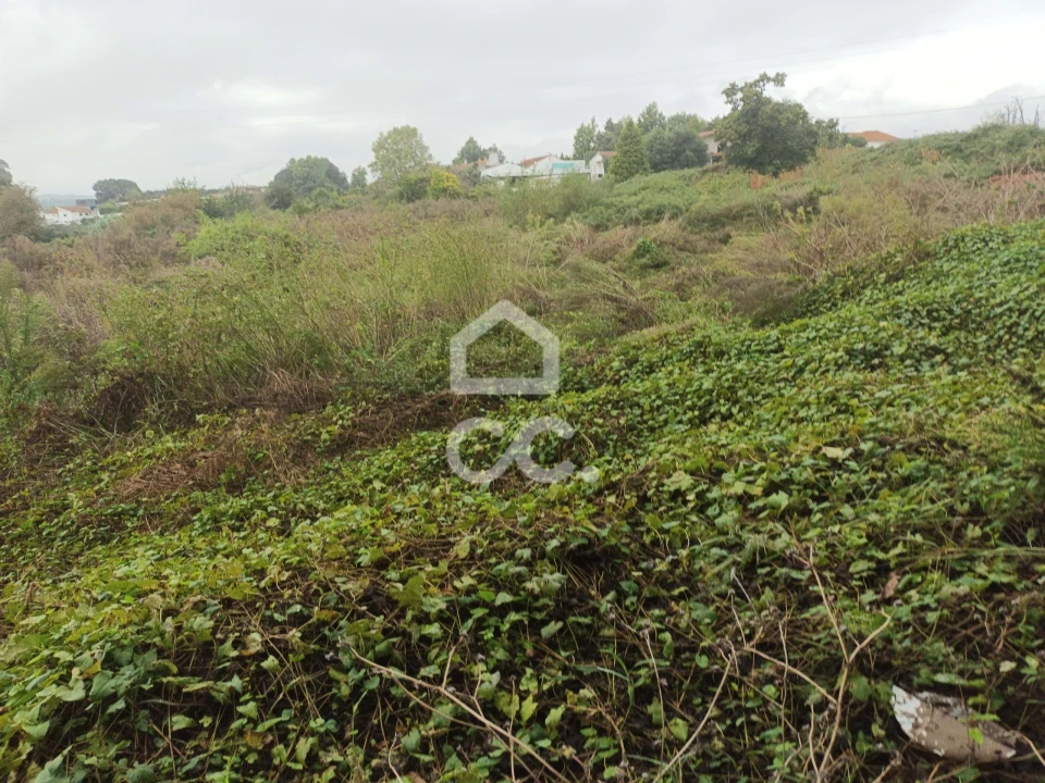 Terreno para Venda em Serzedelo Foto 2