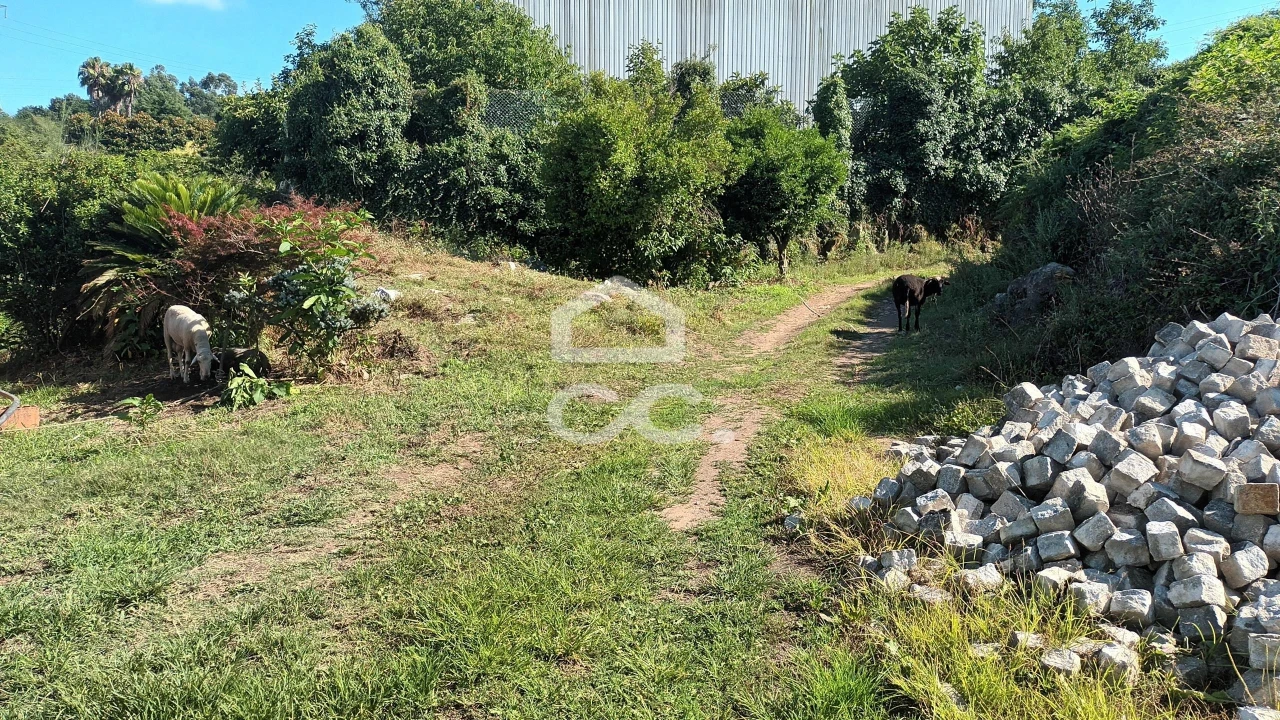 Terreno para Venda em Selho (São Jorge) Foto 4