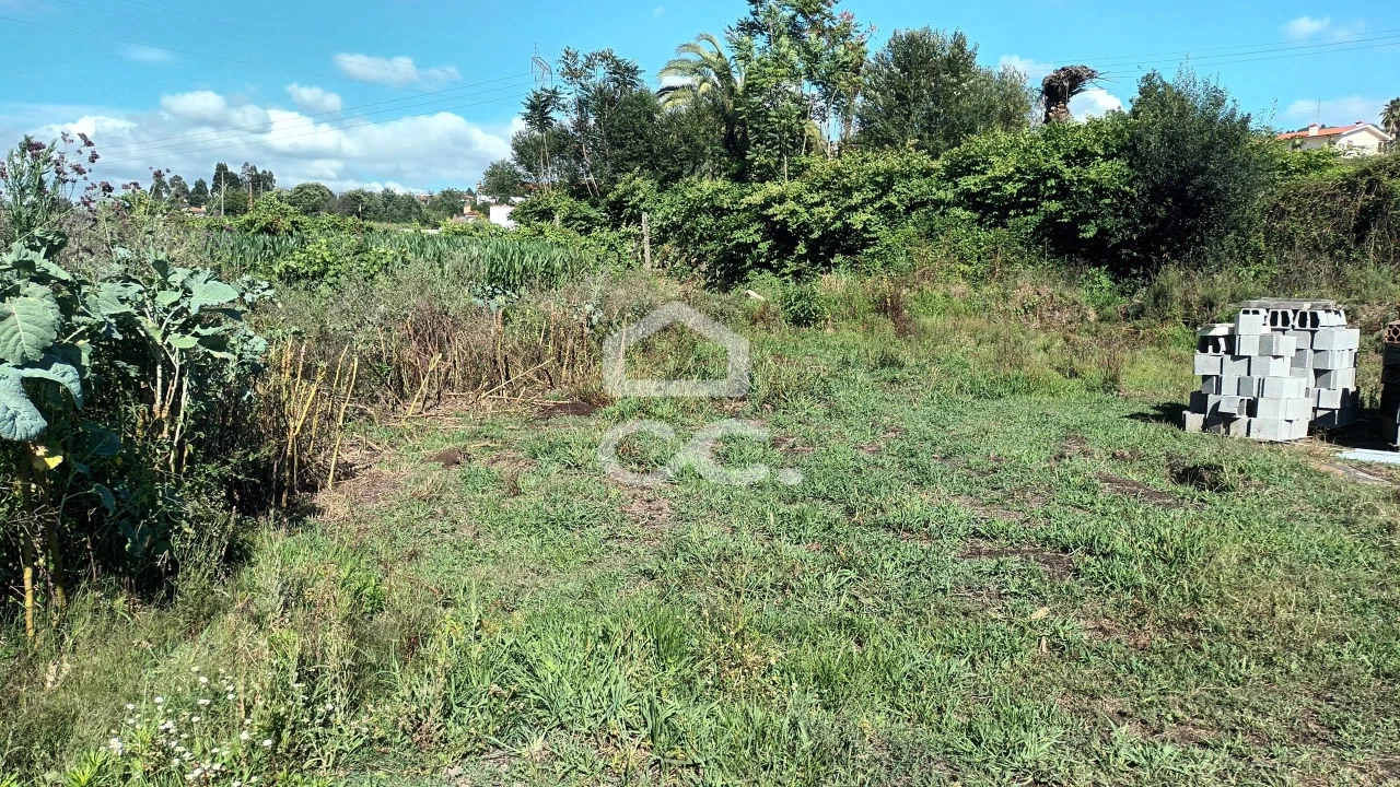 Terreno para Venda em Selho (São Jorge) Foto 3