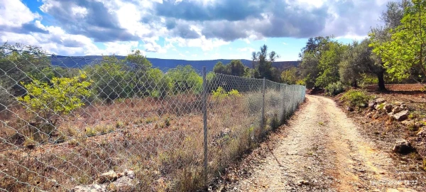 Terreno para Venda em Loule (São Clemente)