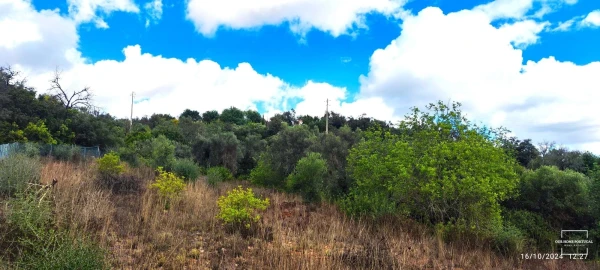 Terreno para Venda em Loule (São Clemente)