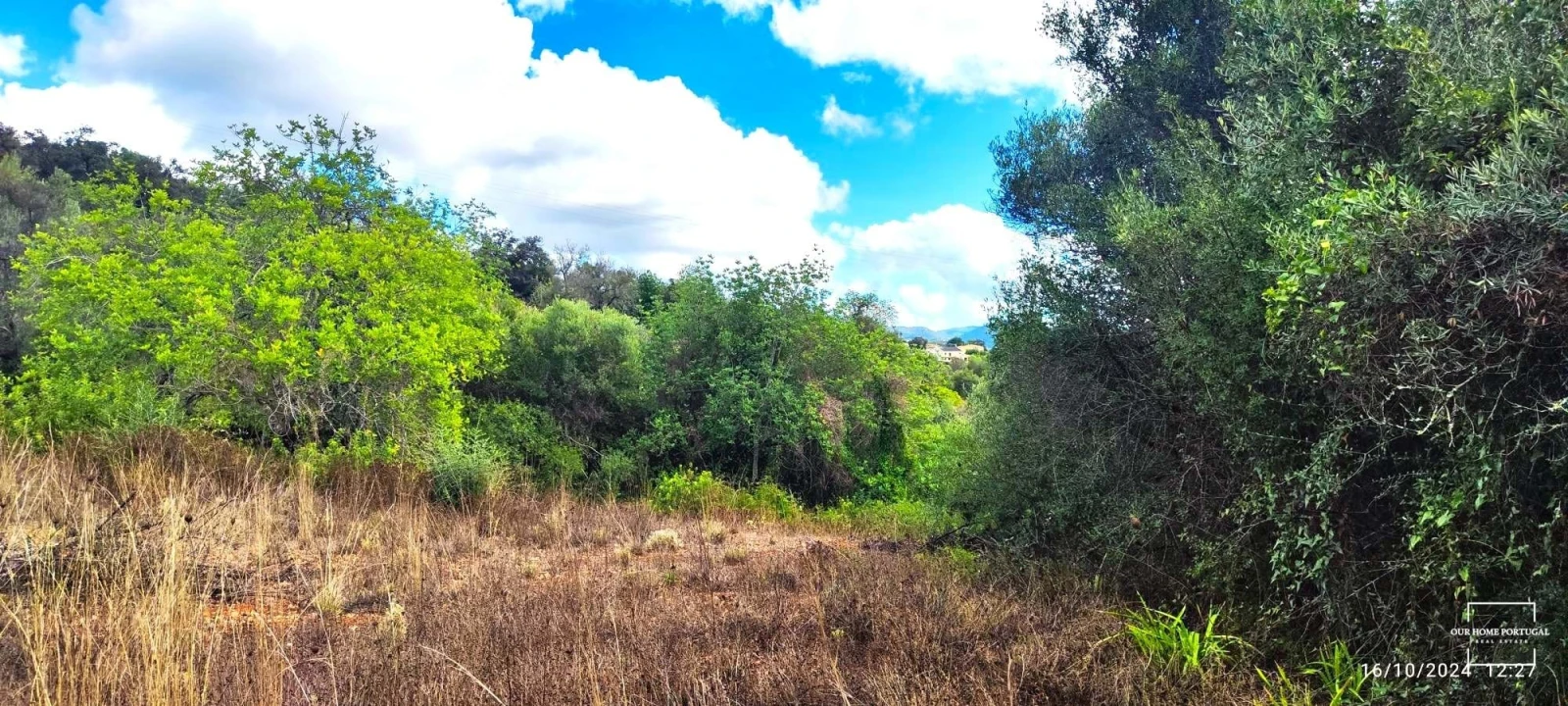 Terreno para Venda em Loule (São Clemente) Foto 2