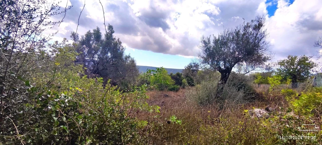 Terreno para Venda em Loule (São Clemente) Foto 4