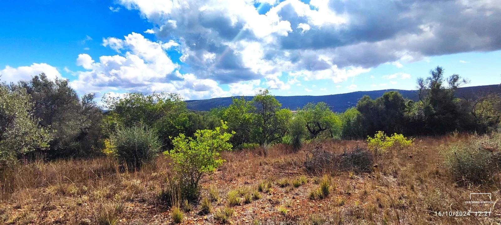 Terreno para Venda em Loule (São Clemente) Foto 1