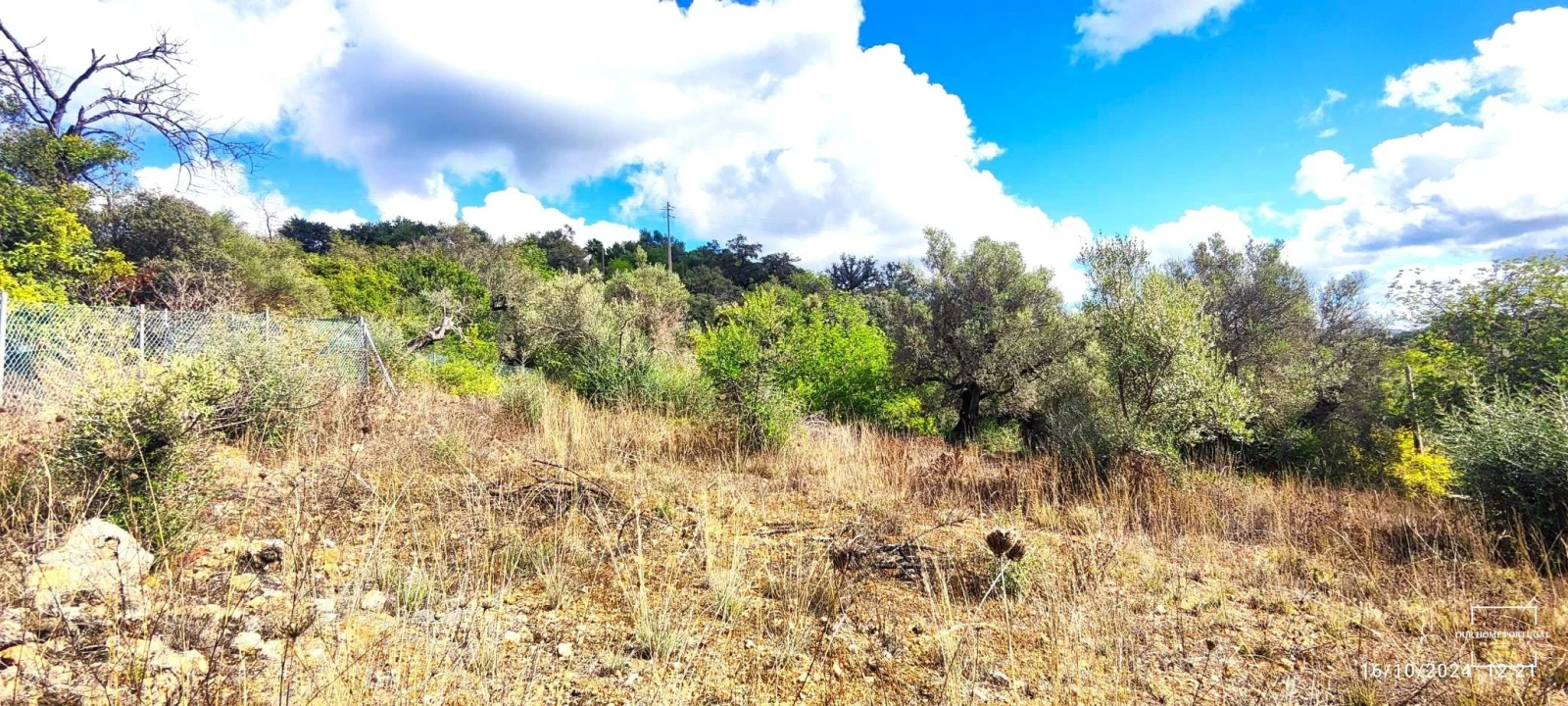 Terreno para Venda em Loule (São Clemente) Foto 6