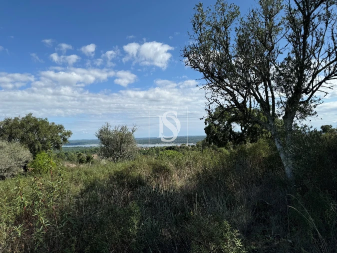 Moradia para Venda em Montargil Foto 2