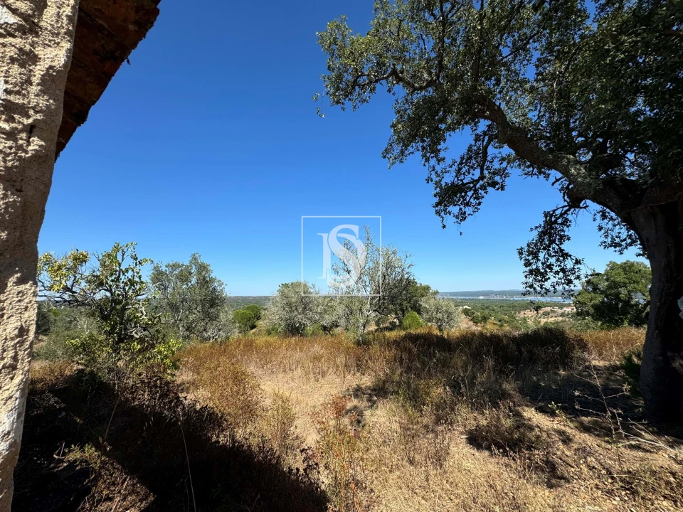 Moradia para Venda em Montargil Foto 6