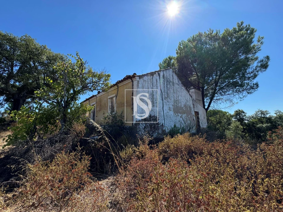 Moradia para Venda em Montargil Foto 4