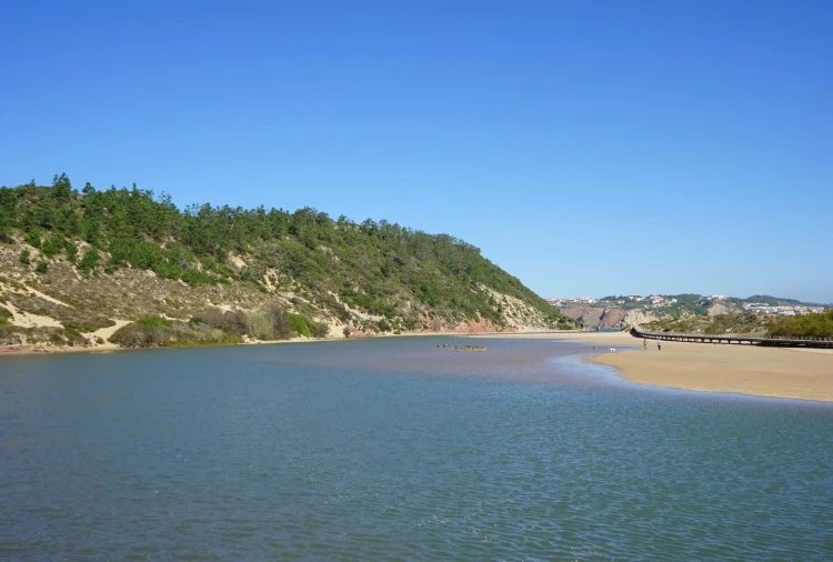 Apartamento T2 para Venda em Tornada e Salir do Porto Foto 13