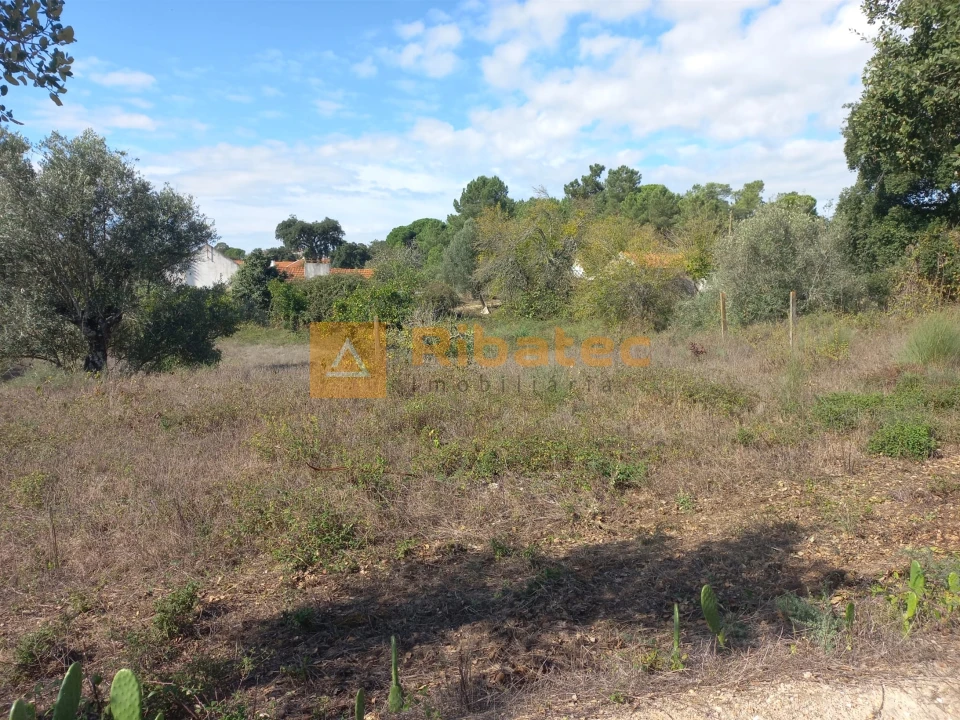 Terreno para Venda em Coruche, Fajarda e Erra Foto 2