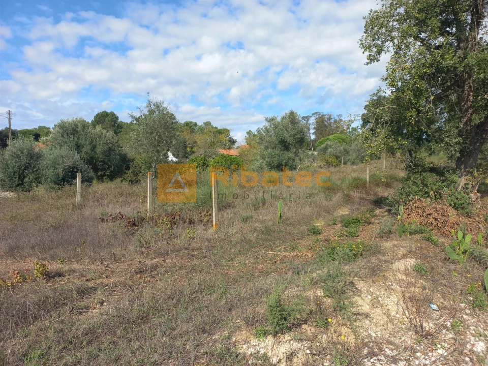 Terreno para Venda em Coruche, Fajarda e Erra Foto 3