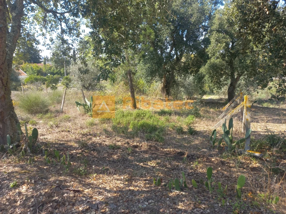 Terreno para Venda em Coruche, Fajarda e Erra Foto 7