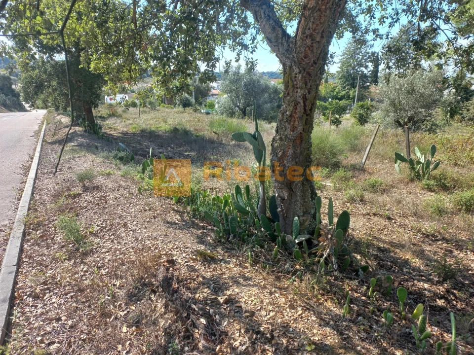 Terreno para Venda em Coruche, Fajarda e Erra Foto 8