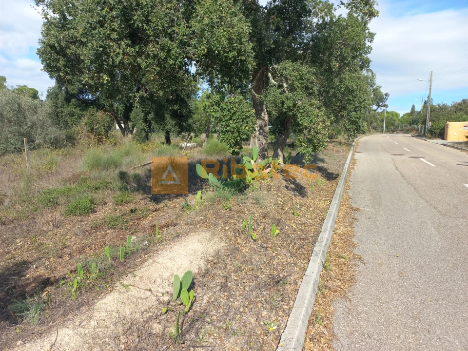 Terreno para Venda em Coruche, Fajarda e Erra Foto 1