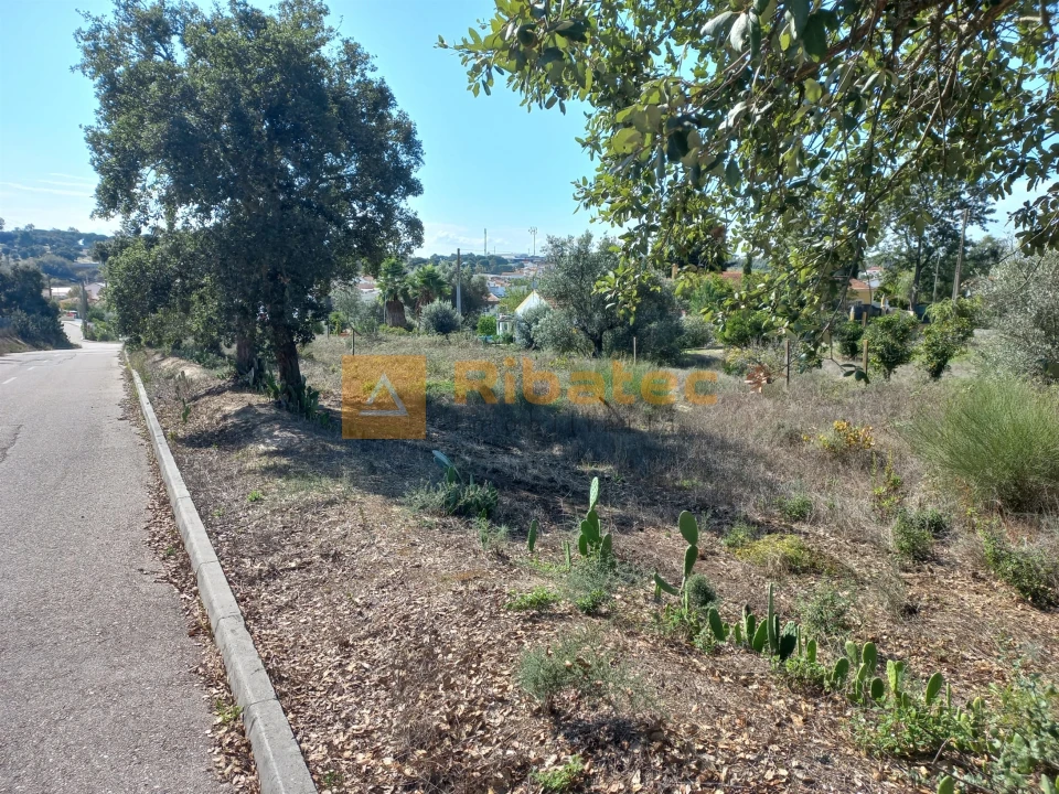 Terreno para Venda em Coruche, Fajarda e Erra Foto 9