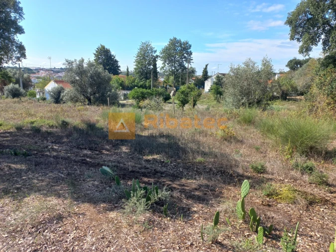 Terreno para Venda em Coruche, Fajarda e Erra Foto 5