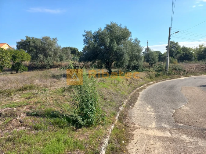 Terreno para Venda em Coruche, Fajarda e Erra Foto 10