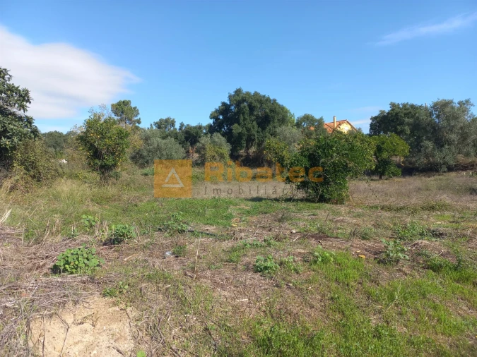 Terreno para Venda em Coruche, Fajarda e Erra Foto 11