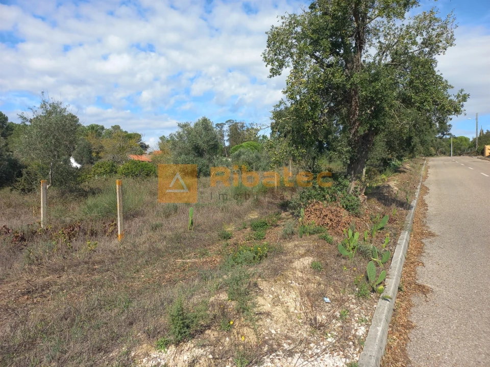 Terreno para Venda em Coruche, Fajarda e Erra Foto 4
