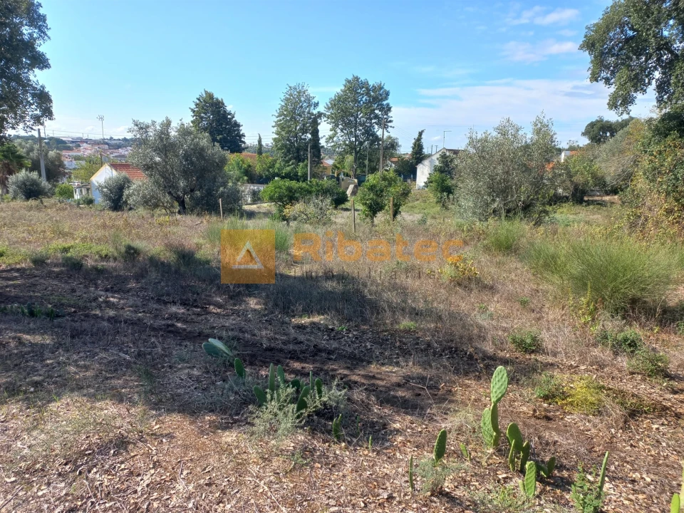 Terreno para Venda em Coruche, Fajarda e Erra Foto 5