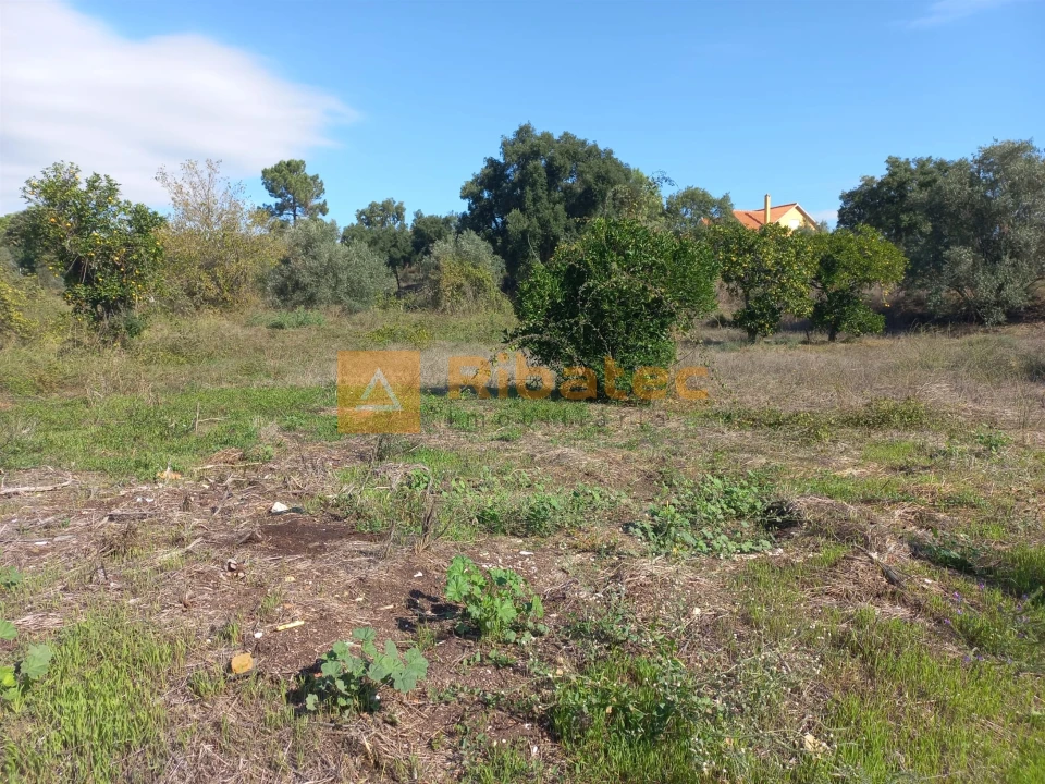 Terreno para Venda em Coruche, Fajarda e Erra Foto 6