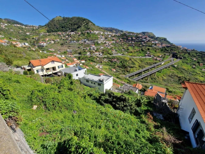 Terreno Agricola ou Rústico para Venda em Campanario Foto 3
