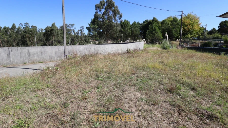 Terreno para Venda em Santa Maria da Feira, Travanca, Sanfins e Espargo Foto 8