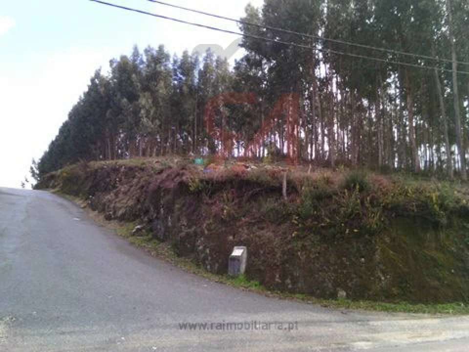 Terreno para Venda em Penamaior Foto 1