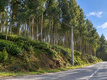 Terreno para Venda em Penamaior