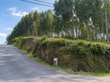 Terreno para Venda em Penamaior