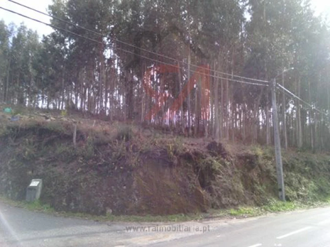 Terreno para Venda em Penamaior Foto 2