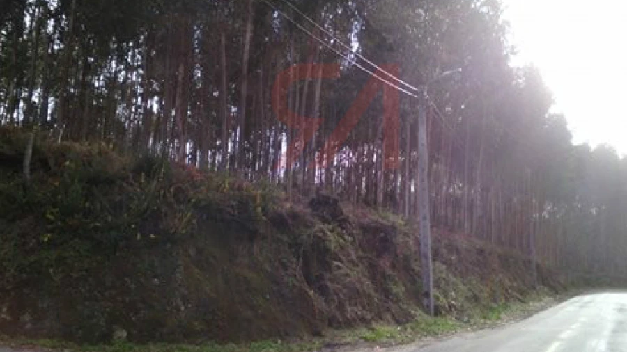 Terreno para Venda em Penamaior