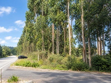 Terreno para Venda em Penamaior