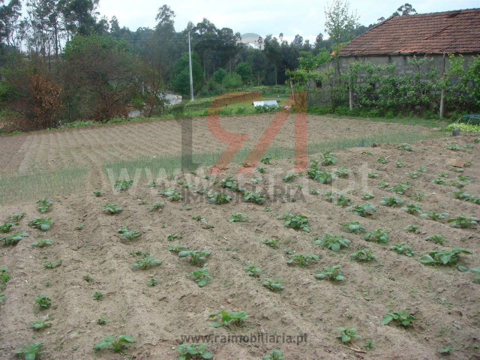 Moradia T0 para Venda em Ferreira Foto 4