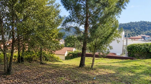 Terreno para Venda em Carvalhosa