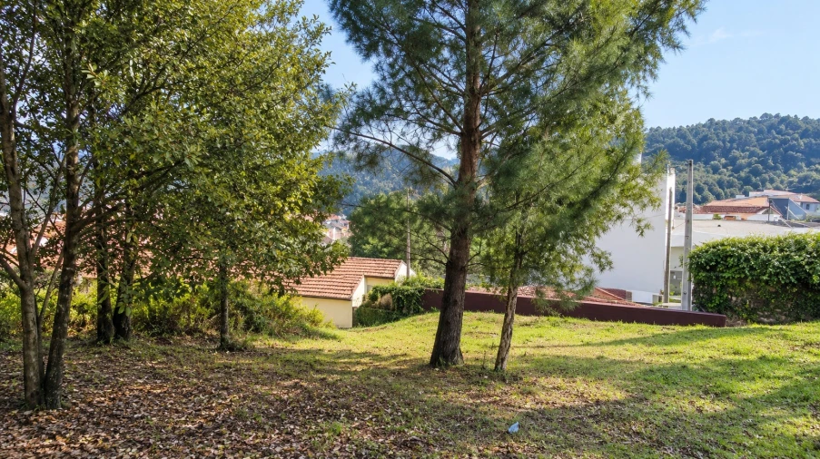 Terreno para Venda em Carvalhosa Foto 2