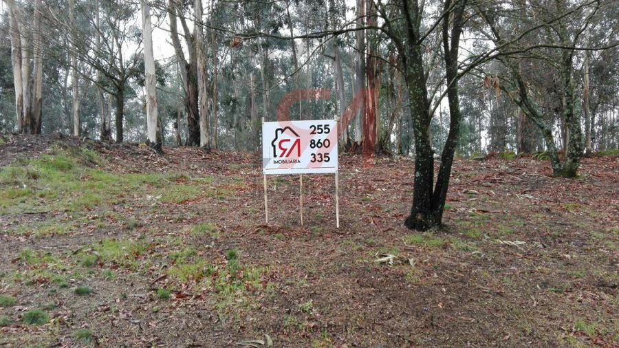 Terreno para Venda em Carvalhosa