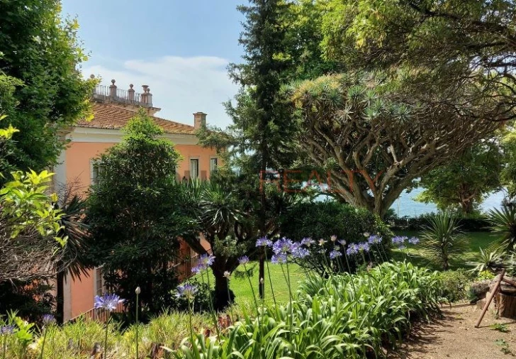 Quinta T7 para Venda em Oeiras e São Julião da Barra, Paço de Arcos e Caxias Foto 24