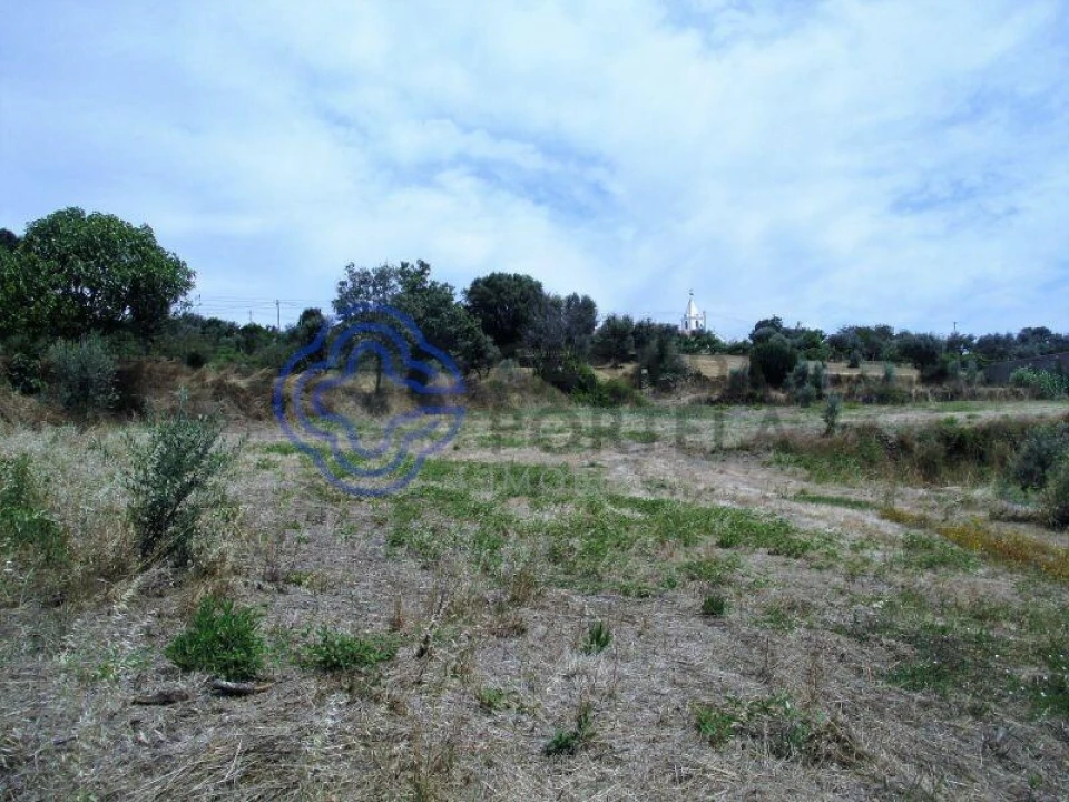 Terreno para Venda em Beco Foto 8