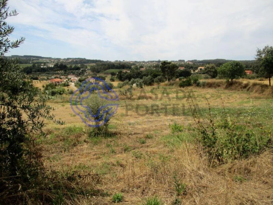 Terreno para Venda em Beco Foto 3