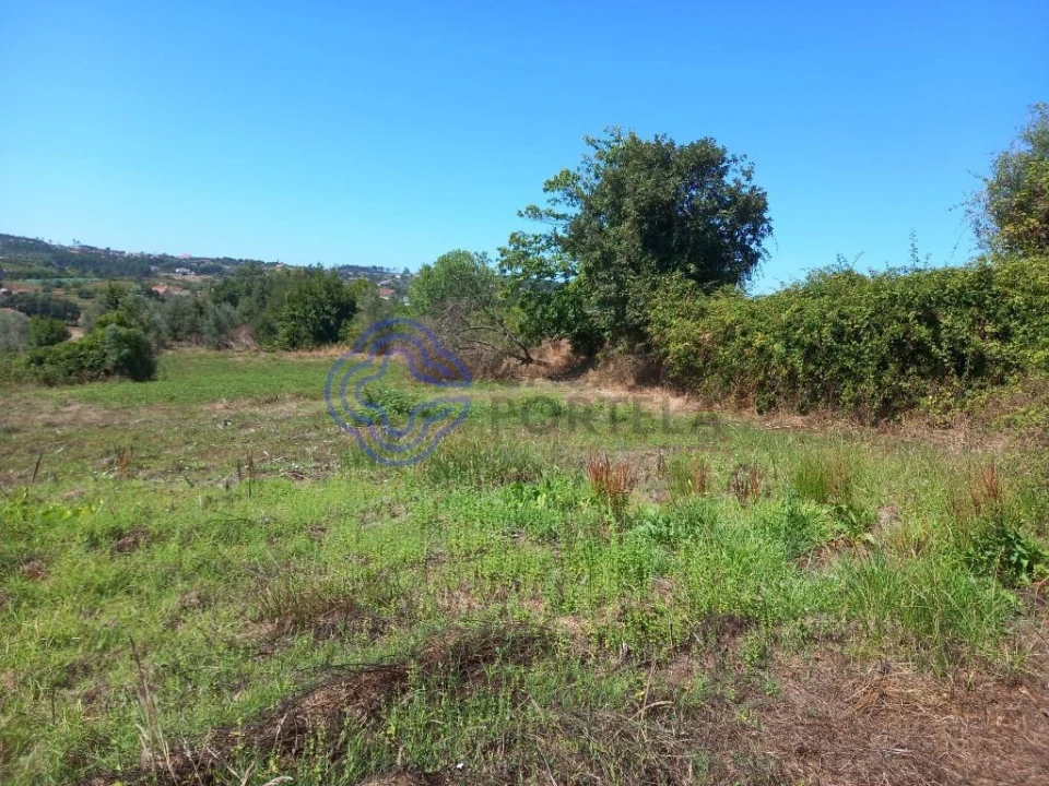 Terreno para Venda em Beco Foto 4