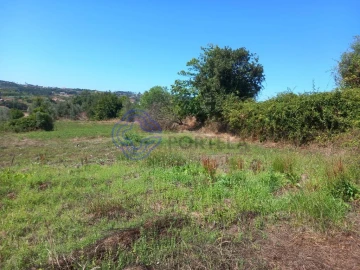 Terreno para Venda em Beco