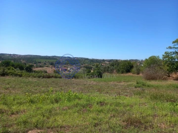 Terreno para Venda em Beco