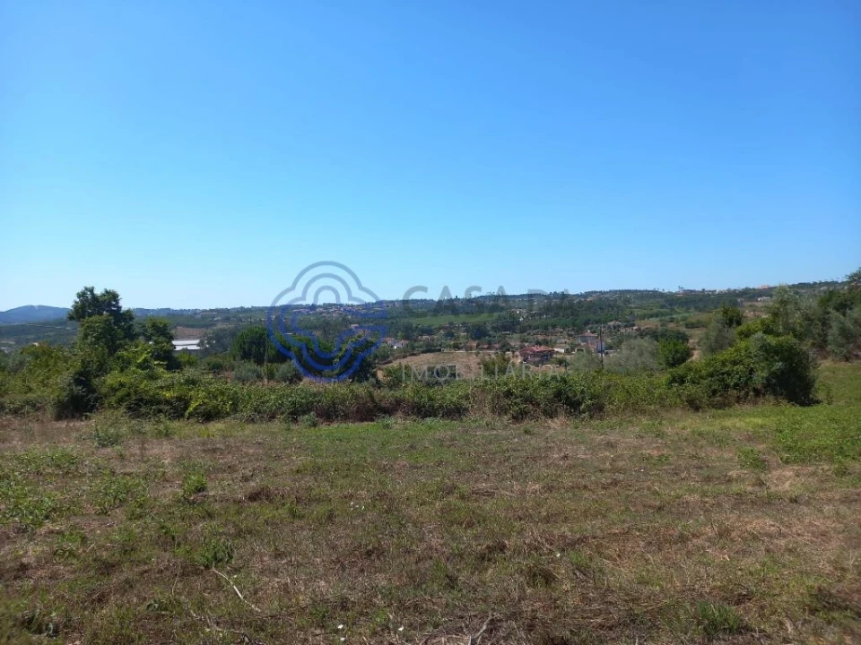 Terreno para Venda em Beco Foto 3