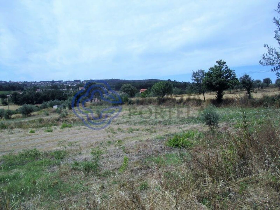 Terreno para Venda em Beco Foto 4