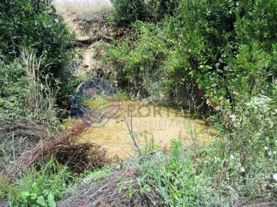 Terreno para Venda em Beco Foto 6