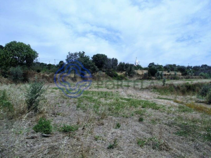 Terreno para Venda em Beco Foto 8