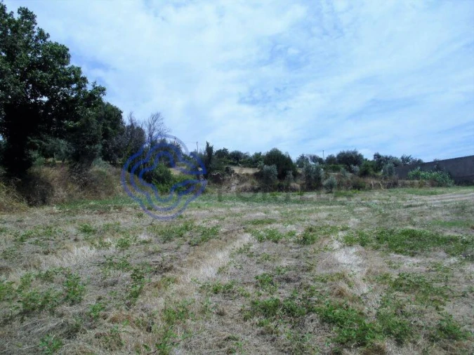 Terreno para Venda em Beco Foto 5