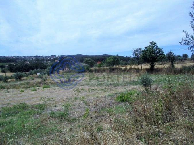 Terreno para Venda em Beco Foto 4