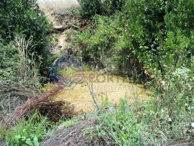 Terreno para Venda em Beco Foto 6